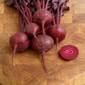 Bulls Blood, Beet Seeds